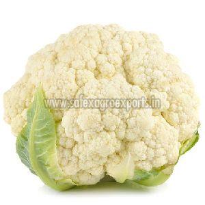 Fresh Cauliflower
