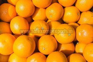 Fresh Orange