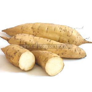 Fresh White Yam