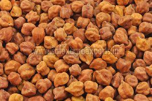 Gram Seeds