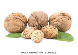 Kashmiri Walnuts