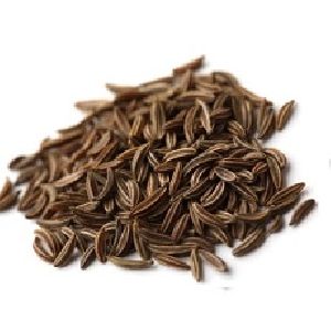 Cumin