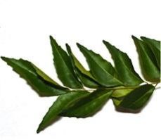 Curry Leaves