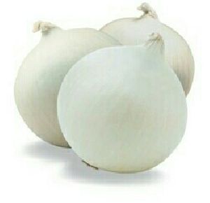 Nashik White Onion