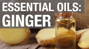 Ginger Oil