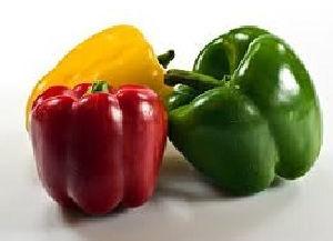 Fresh Capsicum