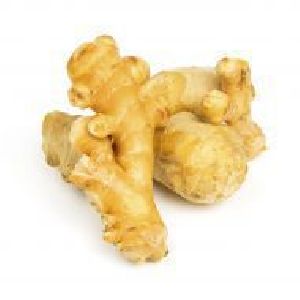 Fresh Ginger