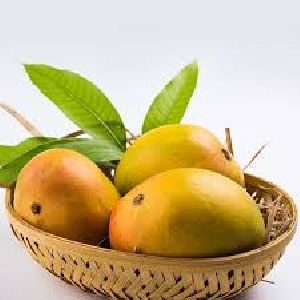 Fresh Mangoes