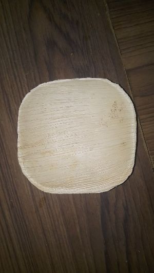 Areca leaf square plate 4