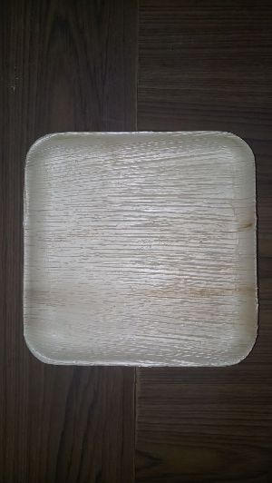 Areca Leaf square Plate2