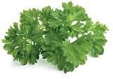 Parsley Leaves