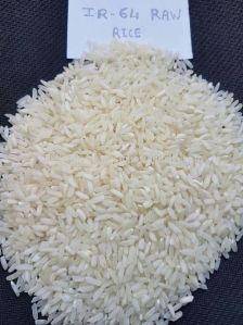 IR-64 Rice