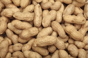 High Grade Whole Groundnuts