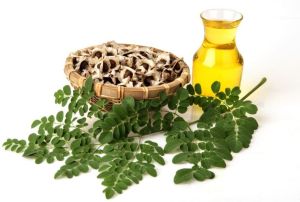 Moringa oil