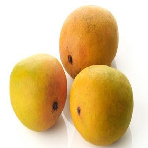 Fresh Mango