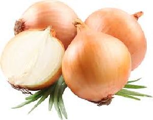 Fresh Yellow Onion