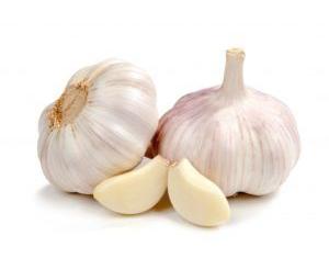 Fresh Garlic