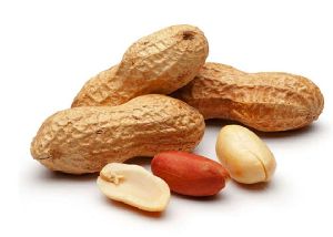 Shelled Groundnuts