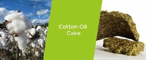 cotton oil cake