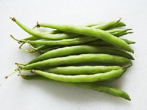Fresh Green Beans