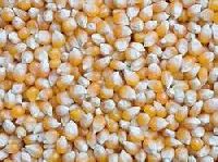 Whole Maize