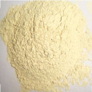 Dehydrated Garlic Powder