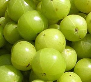 Fresh Gooseberry