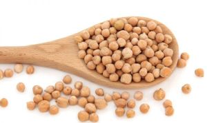 White Chickpeas