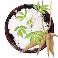 Cassava Starch