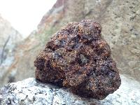 Shilajit