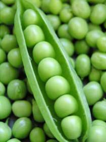 Green Peas