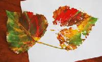 leaf painting