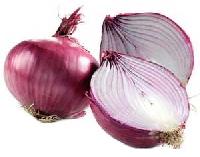 Onion