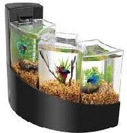 aquarium tanks