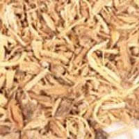 Angelica Root Oil