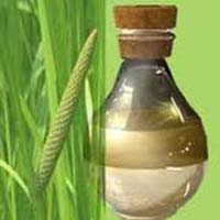 Calamus Oil