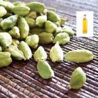 Cardamom Oil