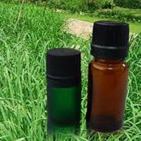 Citronella Oil