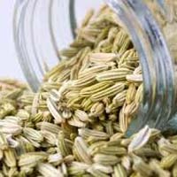 Fennel Oil