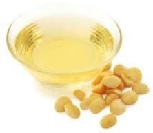 Macadamia Oil