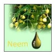 Neem Oil