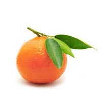 Tangerine mandarine Oil