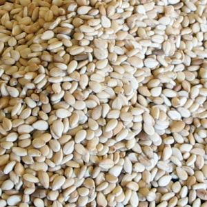 white sesame seeds