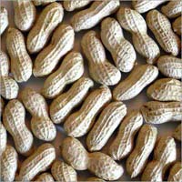 Shelled Groundnuts