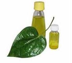 Betel Leaf Oil