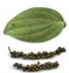 Black Pepper Oil