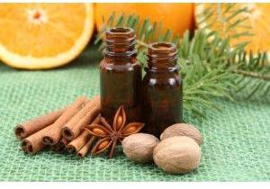 Cinnamon Bark Oil