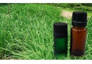 Citronella Oil Java