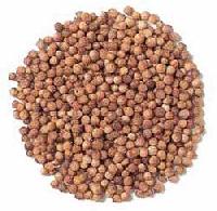 Coriander Seed Oil