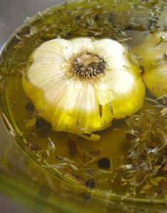 Garlic Oil